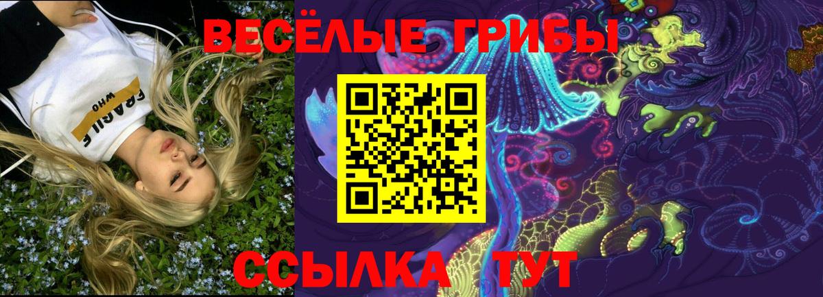 Псилоцибиновые грибы мухоморы Котовск