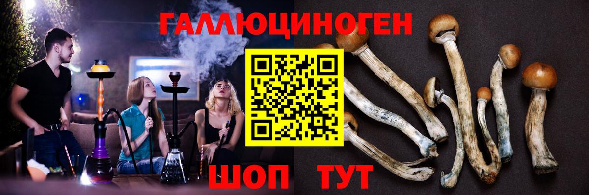 Псилоцибиновые грибы прущие грибы  Вход с VPN  Котовск 