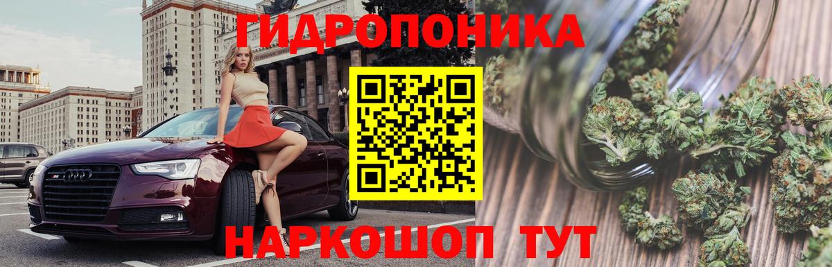 Котовск  Марихуана марихуана  Бошки Шишки Bruce Banner  Бошки марихуана THC 21%  Вход с VPN 